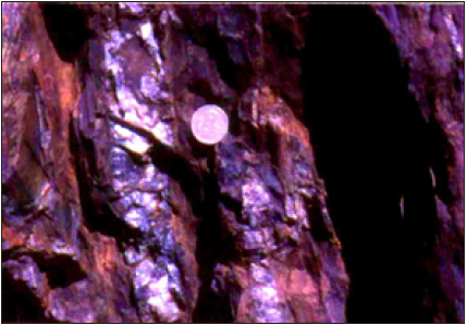 Click here to view Large image 9