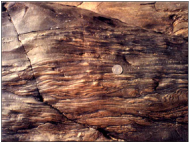 Click here to view Large image 10