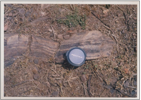 Click here to view Large image 13