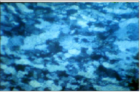 Click here to view Large image 19