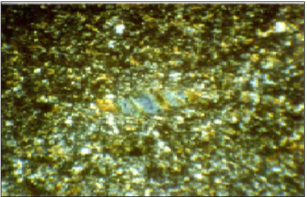 Click here to view Large image 20