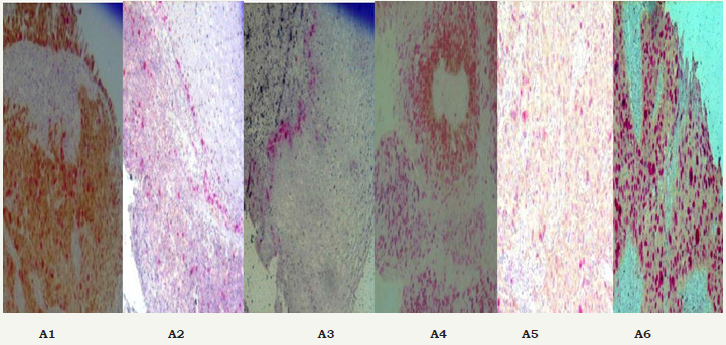 Click here to view Large image 1