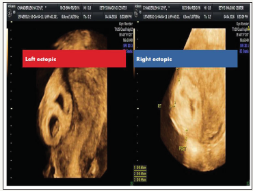 Click here to view Large image 1