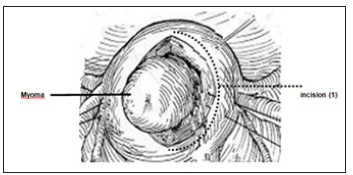 Click here to view Large image 1