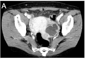 Click here to view Large image 1