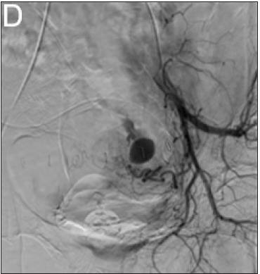 Click here to view Large image 4