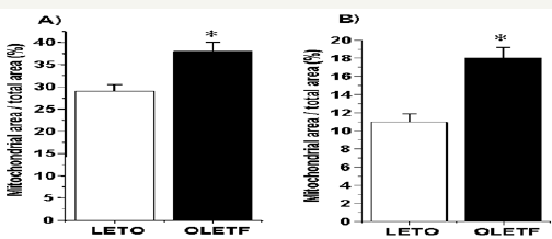 Click here to view Large Figure 1