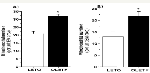 Click here to view Large Figure 2
