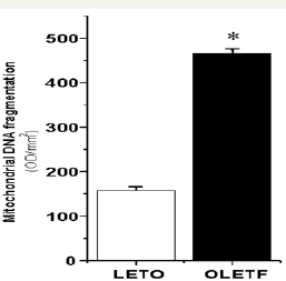 Click here to view Large Figure 5