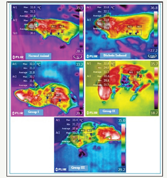 Click here to view Large image 4