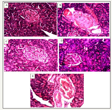 Click here to view Large image 1