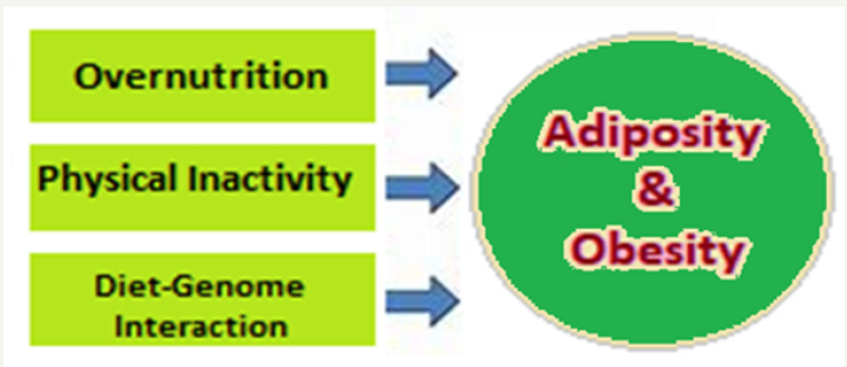 Click here to view Large image 1