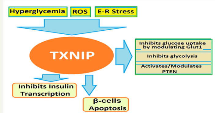 Click here to view Large image 3