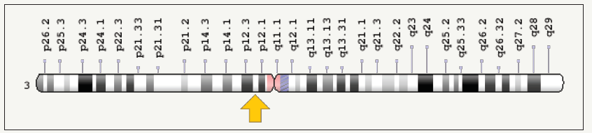Click here to view Large image 3