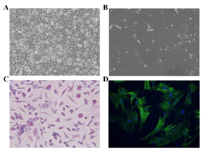 Click here to view Large image 1