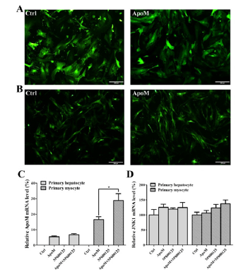 Click here to view Large image 2