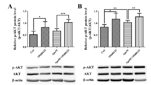 Click here to view Large image 3