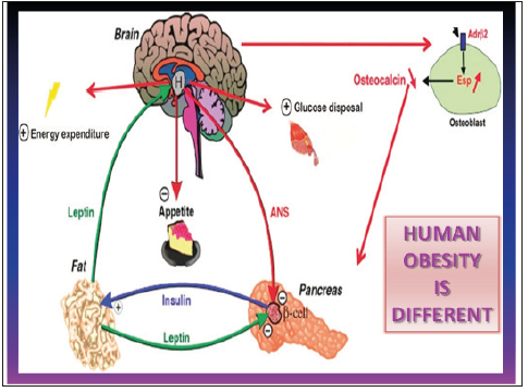 Click here to view Large image 1