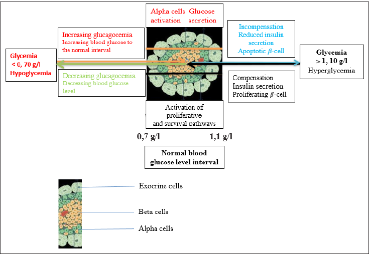 Click here to view Large image 1