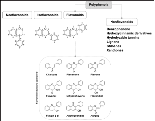 Click here to view Large image 4