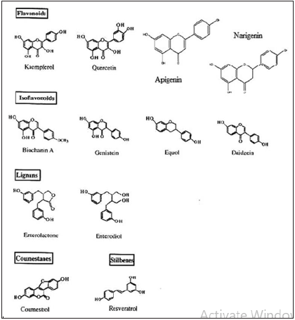 Click here to view Large image 9