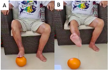 Click here to view Large image 6