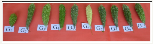 Click here to view Large image 4