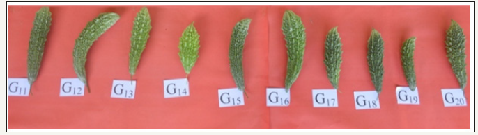 Click here to view Large image 5