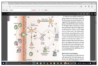 Click here to view Large image 1