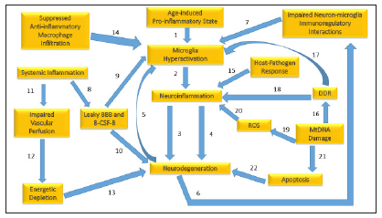 Click here to view Large image 3