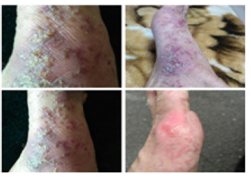 Click here to view Large image 2