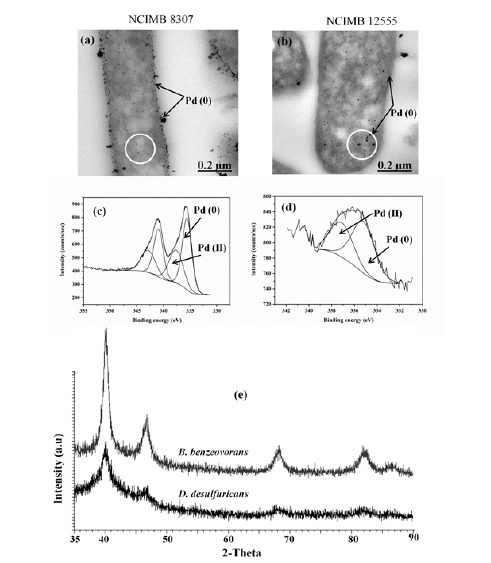 Click here to view Large image 1