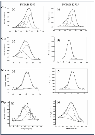 Click here to view Large image 2