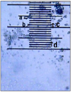 Click here to view Large image 2