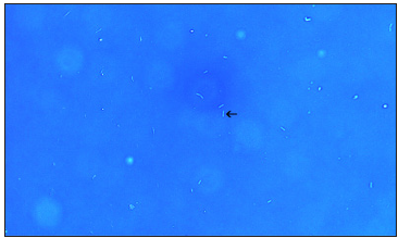 Click here to view Large image 3