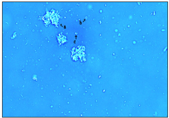 Click here to view Large image 5