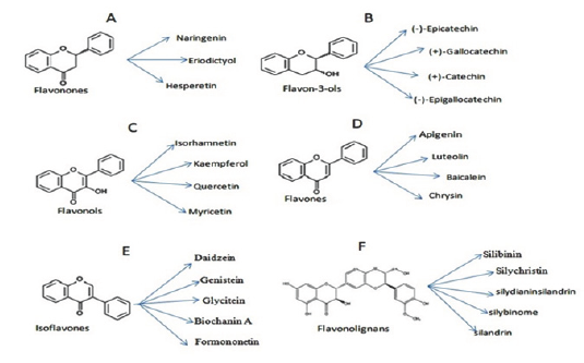 Click here to view Large Figure 1