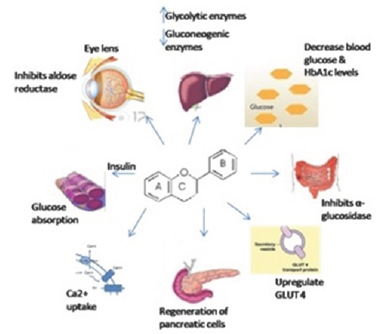 Click here to view Large Figure 2