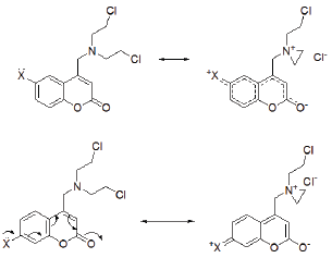 Click here to view Large Figure 2