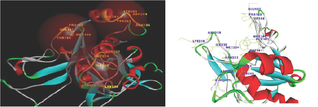 Click here to view Large Figure 2