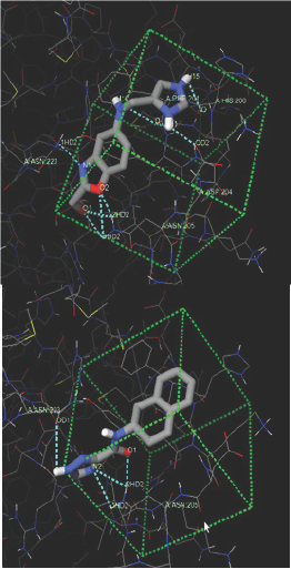 Click here to view Large Figure 5