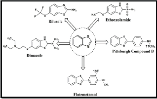 Click here to view Large Figure 2