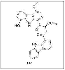 Click here to view Large image 11