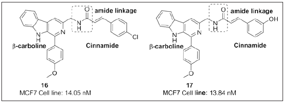 Click here to view Large image 13