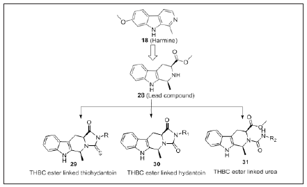 Click here to view Large image 19