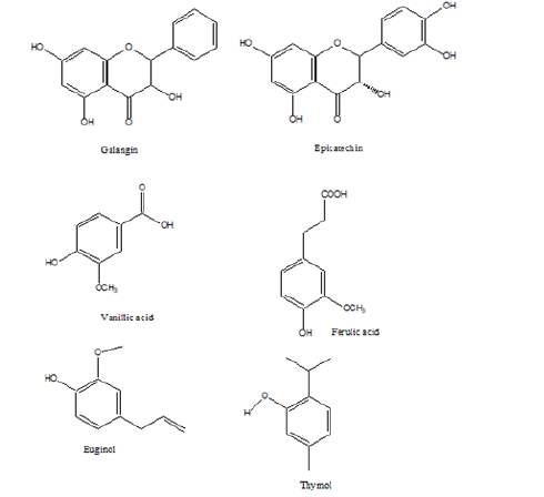 Click here to view Large image 4