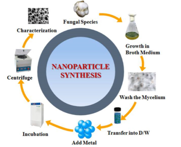 Click here to view Large image 2