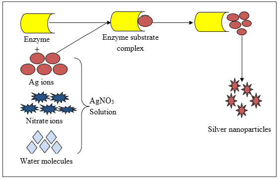 Click here to view Large image 4