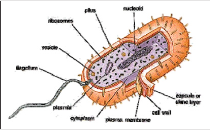 Click here to view Large image 3