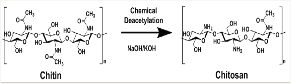 Click here to view Large Figure 1
